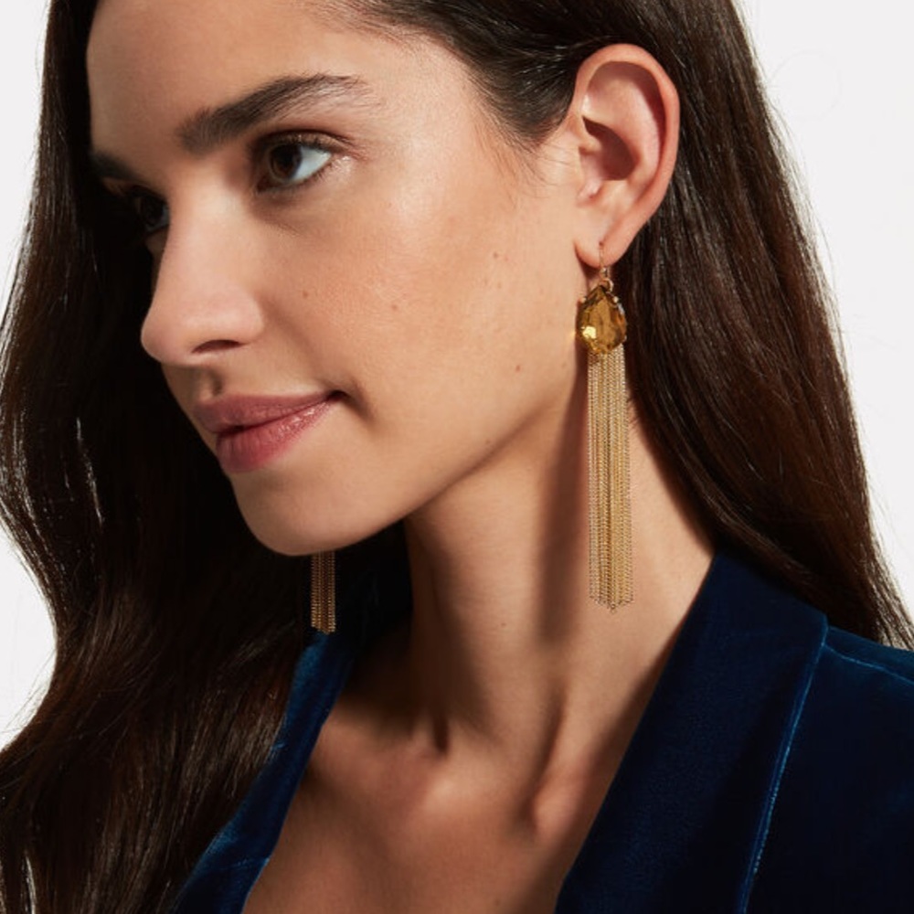 LAST CHANCE! 🔥 Teardrop tassel earrings